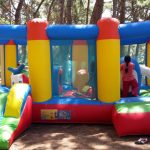 Delphi Dizel Sirket Piknigi – Izmir Piknik Organizasyonu 2 150x150