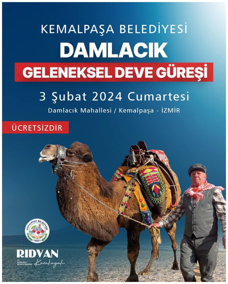 Organizasyon Resimleri Damlacik Deve Guresi Svm Organizasyon Izmir 1 768x957