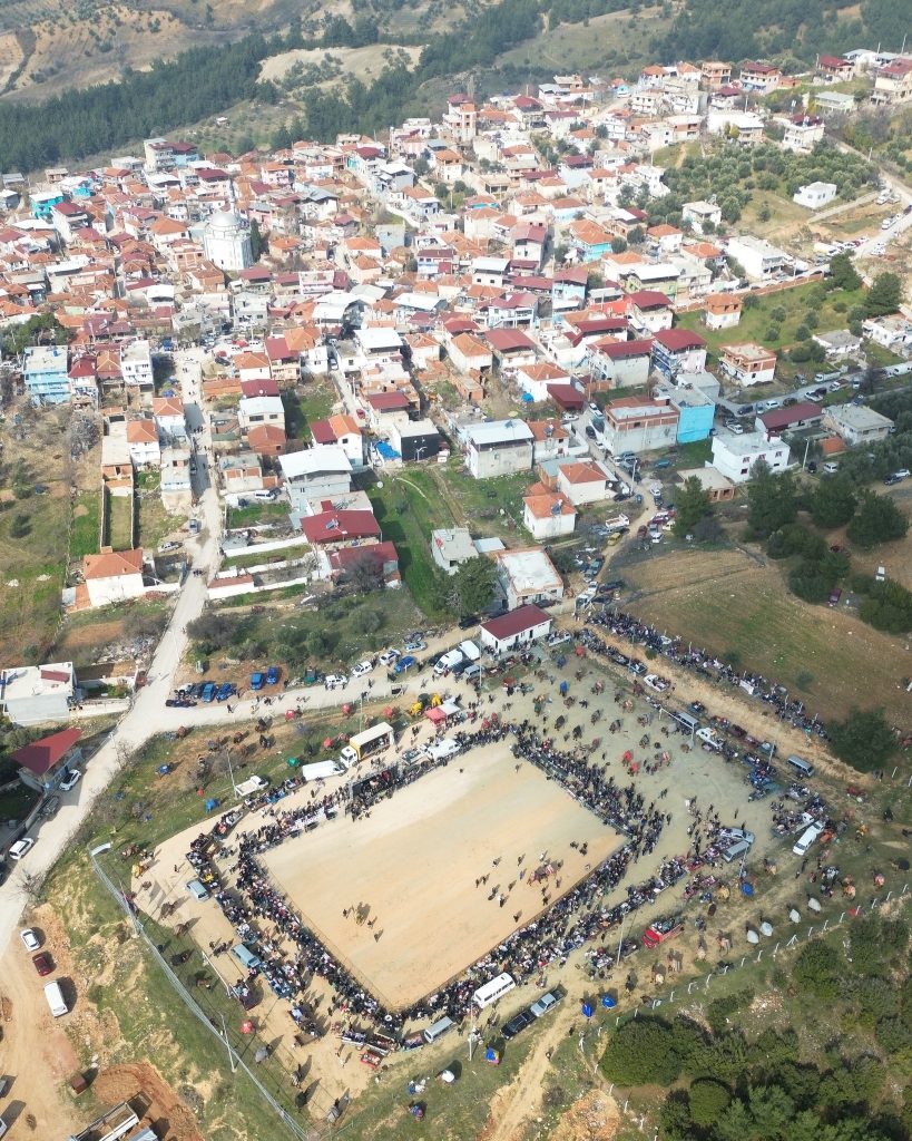 Kemalpaşa Bel. Deve Güreşi Festivali Damlacik Deve Guresi Svm Organizasyon Izmir 3 819x1024