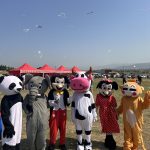 İzmir organizasyon uçurtma Şenliği svm (2)