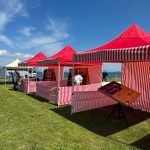 tüpraş İzmir aile günü etkinliği İzmir piknik organizasyonu (1.3)