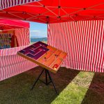 tüpraş İzmir aile günü etkinliği İzmir piknik organizasyonu (15)