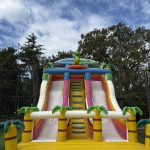 İzmir organizasyon firması (19)